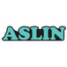 Aslin Beer Co