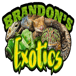 Brandons Exotics