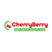 CHERRY BERRY FROZEN YOGURT