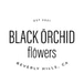 Black Orchid Flowers