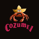 Cozumel Mexican Restaurant