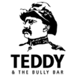 Teddy and the Bully Bar