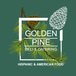 Golden Pine