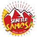 Seattle Samosa