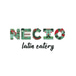 Necio Mexican Kitchen