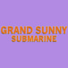 Grand Sunny Submarine