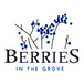 Berries In the Grove