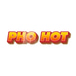 Pho Hot Noodle and Grill