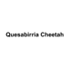 Quesabirria Cheetah