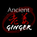 Ancient Ginger