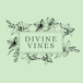 Divine Vines