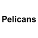 Pelicans