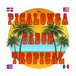 Picalonga Sabor  Tropical