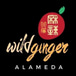 Wild Ginger