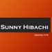 Sunny hibachi