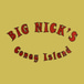 Big nick’s cony Island