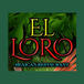 El loro mexican restaurant