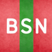 BSN PIZZA