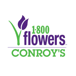 Conroy's Flowers