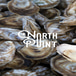 North Point Oysters