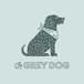 The Grey Dog