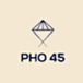 Pho 45