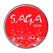 Saga Fusion Mount Dora