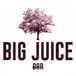 Big Juice Bar