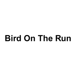 Bird on the Run