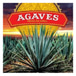Agaves mexican grill
