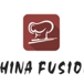 China Fusion