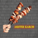 Mister Kabob