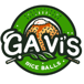 GAVI’S Rice Balls