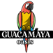 Guacamaya Oasis Plant-Based Mexican Cuisine