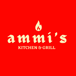 Ammi's Kitchen and Grill