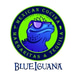 Blue Iguana Mexican Cocina