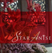 Star Anise Thai Cuisine