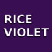 Rice Violet