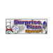 Restaurant Surprise Pizza