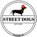 Street Dogs