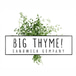Big Thyme Sandwich Company