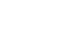 Slice of NY pizza
