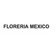 FLORERIA MEXICO