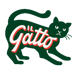 Il Gatto