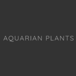 Aquarian Plants