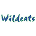 Wildcat's Bar & Grill
