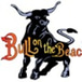 Bull on the Beach