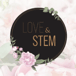 Love and Stem