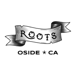 Roots Craft Juice