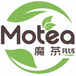 Motea Plus